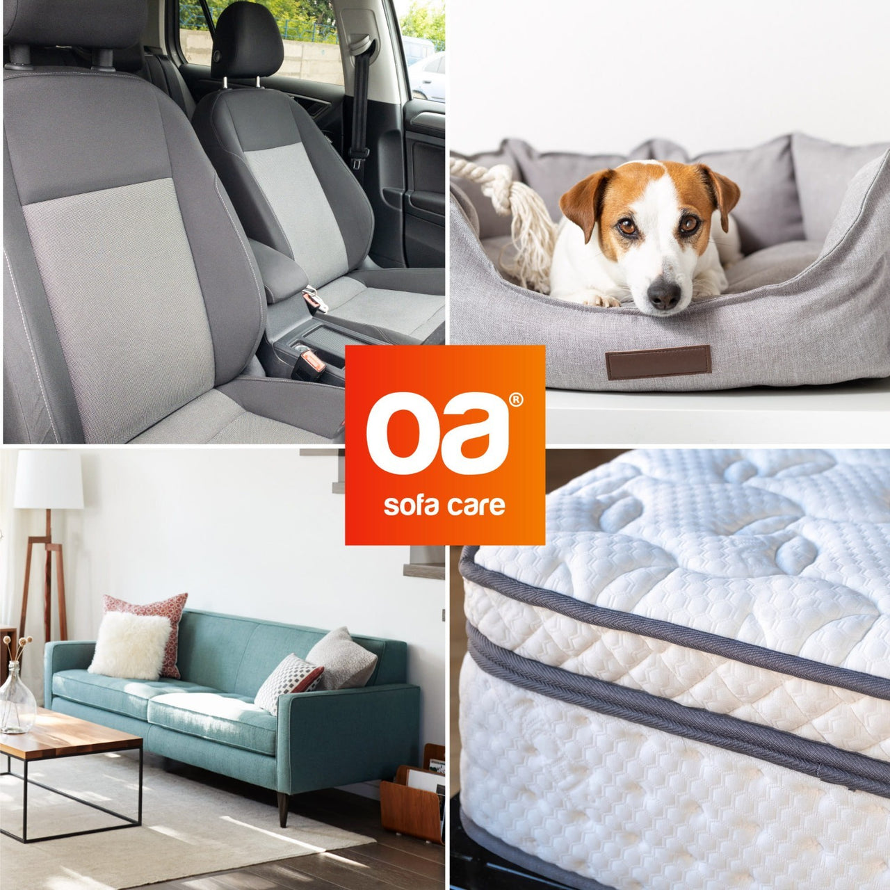 Upholstery Fabric Cleaner OA SOFA CARE - PINaPIN